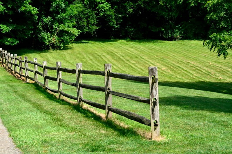 Quaint Country Scene, farm, fence, the country, country scene, country fence, HD wallpaper
