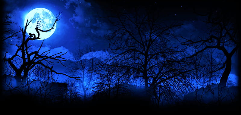 a quiet place, forest, eerie, moon, dark, HD wallpaper