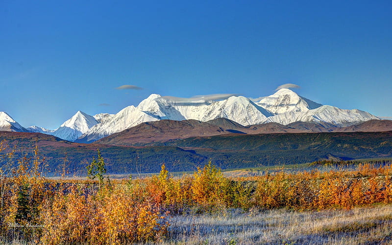 The Alaska Range from the Richardson Highway, trees, landscape, plants, rocks, usa, HD wallpaper