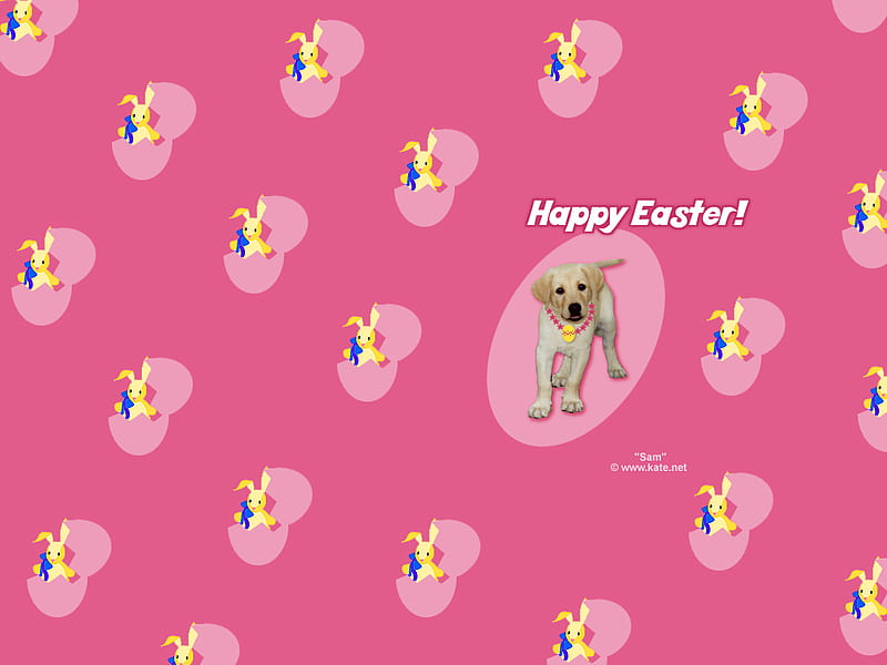 happy easter, fun, easter, pink, puppy, HD wallpaper