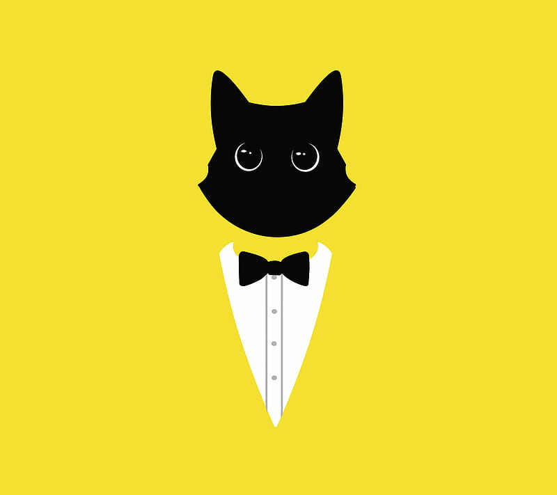 Yellow cat, yellow, cat, HD wallpaper | Peakpx