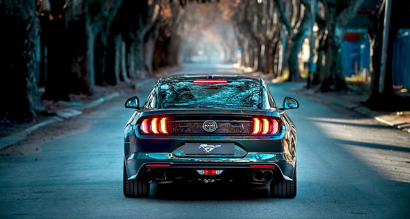 ford mustang bullitt, back view, road, muscle cars, Vehicle, HD wallpaper