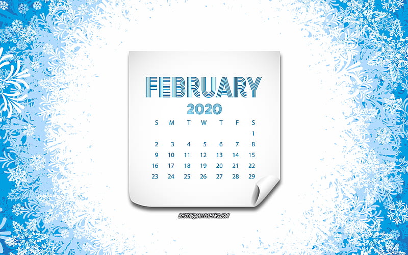2020 February Calendar, winter background, snowflakes background, winter texture, 2020 concepts, 2020 calendars, February, HD wallpaper