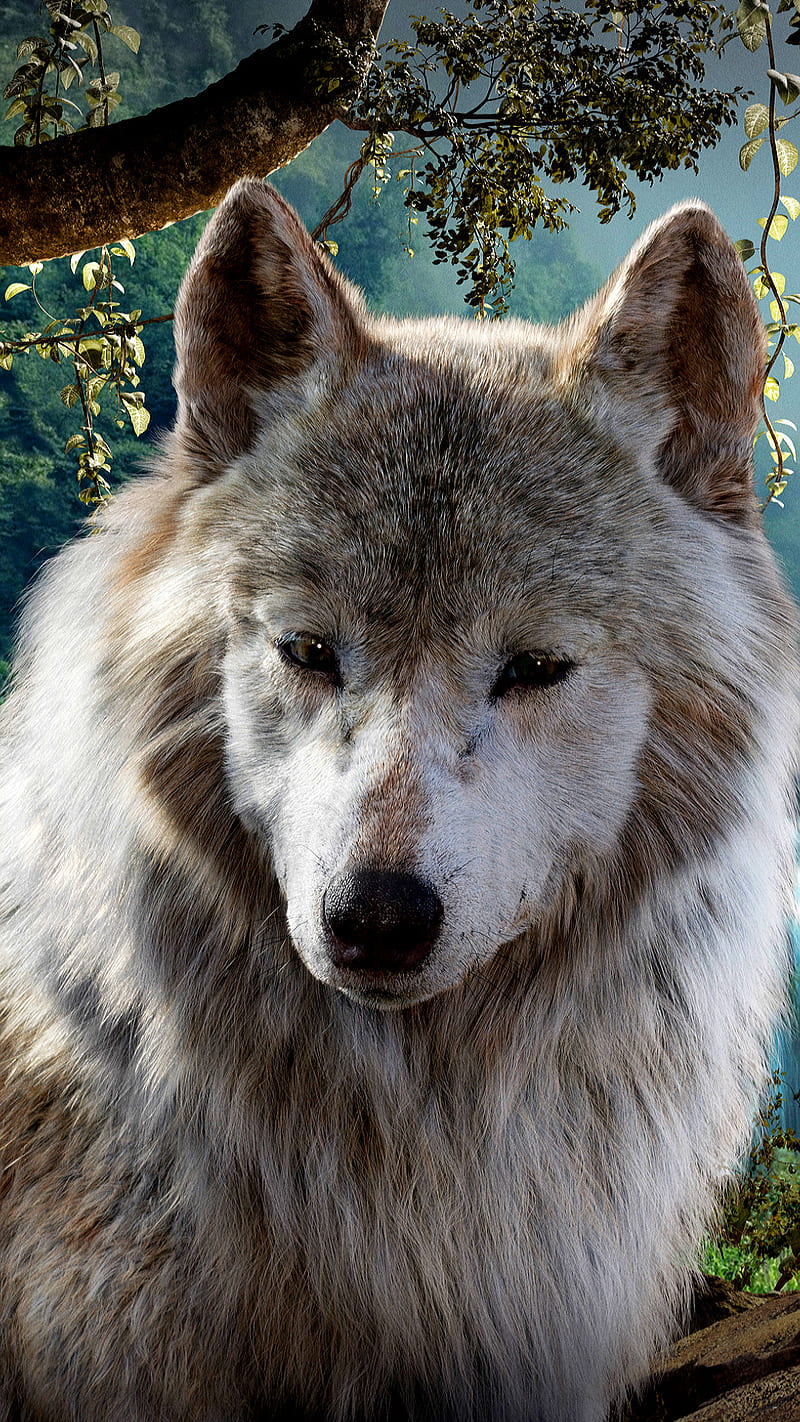 Nice wolf, animal, face, tree, wolf, HD phone wallpaper