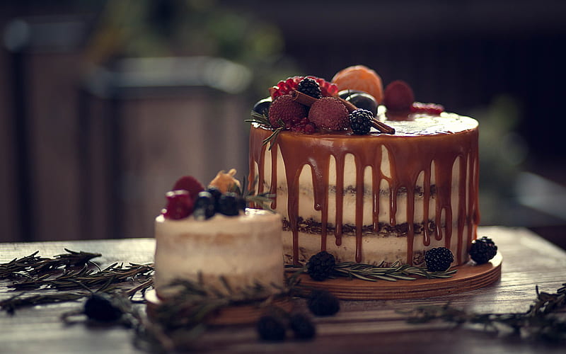 cake with chocolate cream, fruit cheesecake, berries, sweets, cakes, HD wallpaper