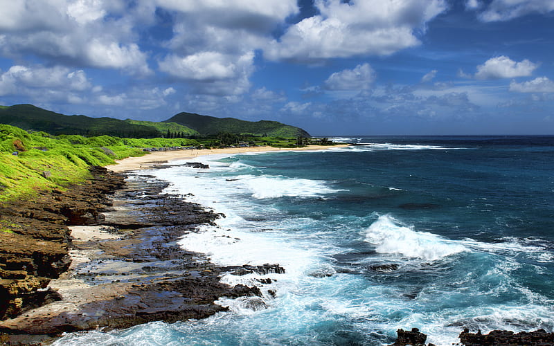 Hawaii, Pacific Ocean, coast, beautiful beach, waves, ocean, USA, HD wallpaper