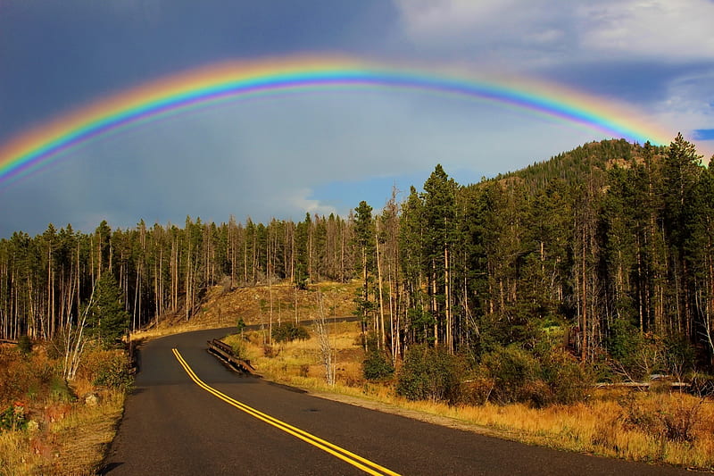 Rainbow over Roadside Forest Trees, Trees, Sky, Forests, Autumn, Rainbows, Roads, Nature, HD wallpaper