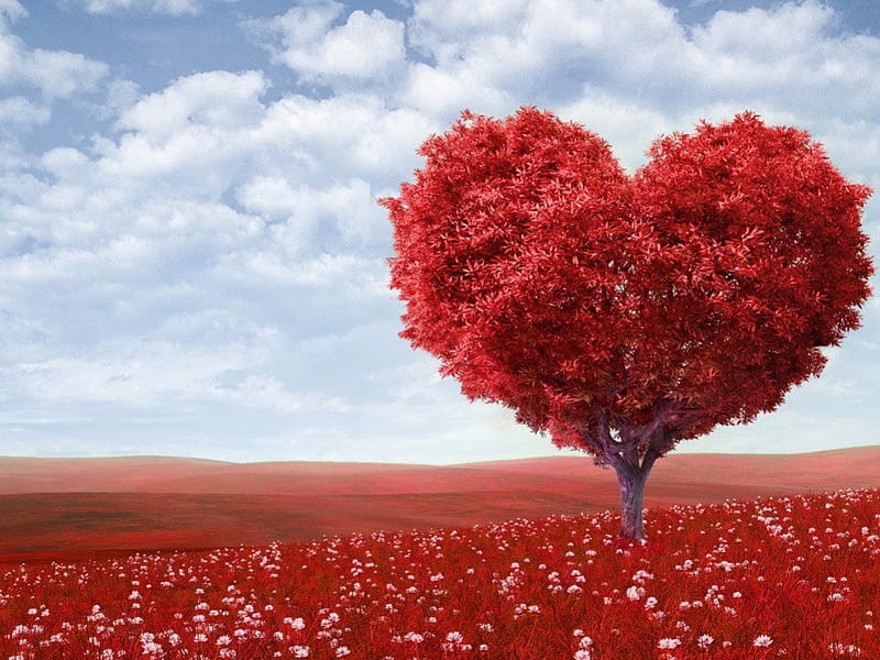 Red heart tree, valentines day, red, tree, love, heart, fields, HD wallpaper