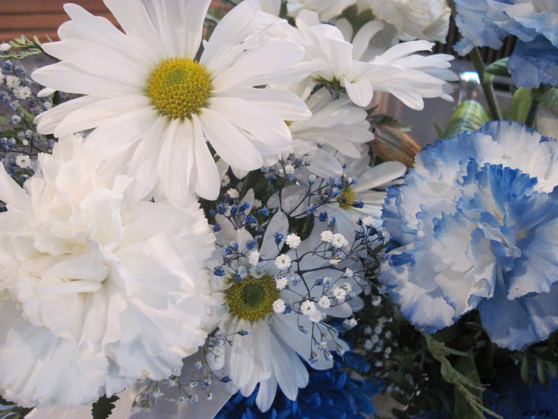 Daisyblue＆ white bouquet | www.causus.be