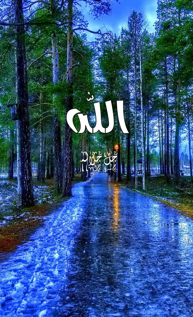 Allah arabic words , god, nice, nature, tree muslim, islamic, theme, HD phone wallpaper