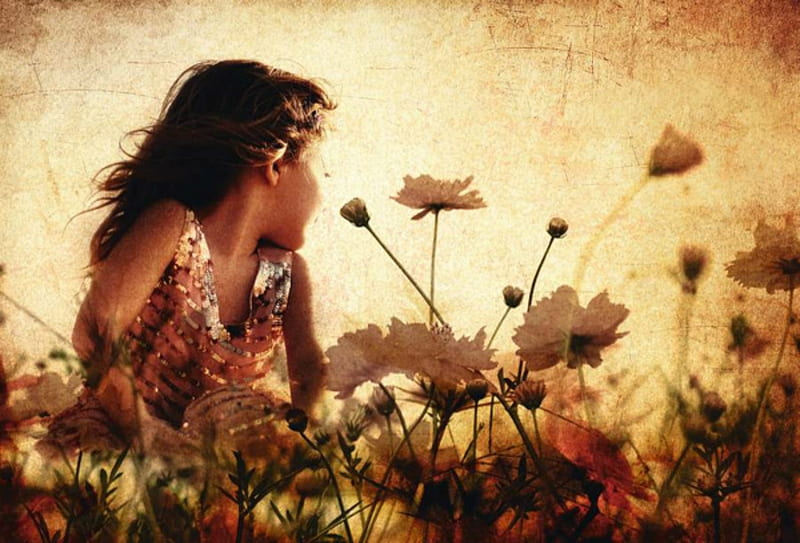 Little Princess, day, flowers, girl, field, HD wallpaper | Peakpx