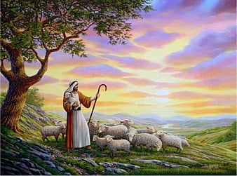 Jesus the Good Shepherd, christ, sheep, jesus, christianity, nature ...