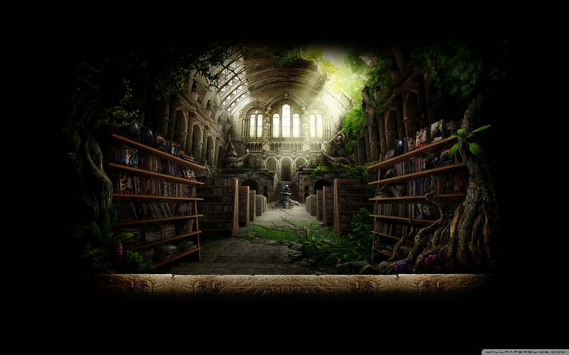 Forbidden Library, forest, fountain, sun, forbidden, ancient, book, shelf, old, fantasy, cool, library, abandoned, HD wallpaper