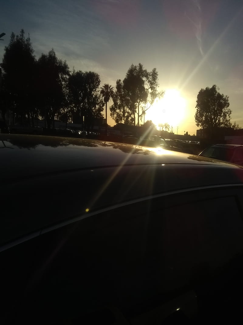 Sun, car, earth, fog, rainy, shine, sunrise, sunset, HD phone wallpaper