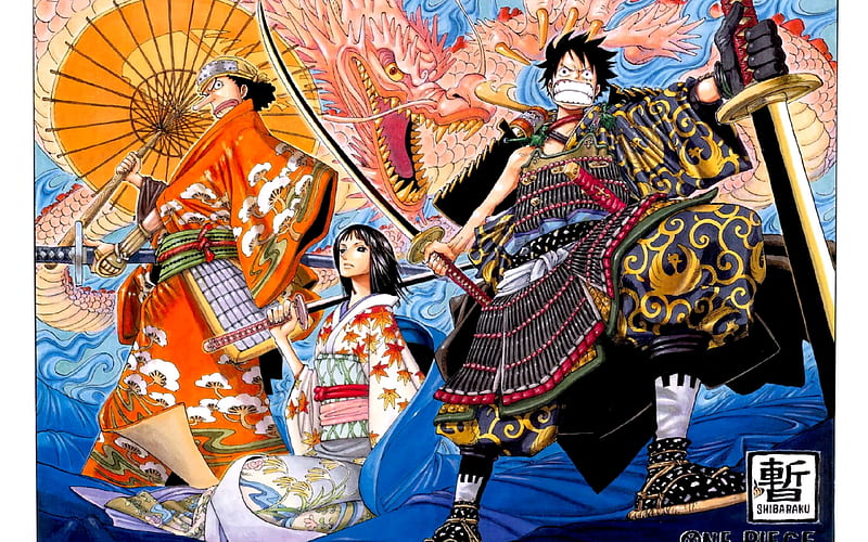 One piece cover , adventure, one piece, robin, squad, usopp, HD wallpaper
