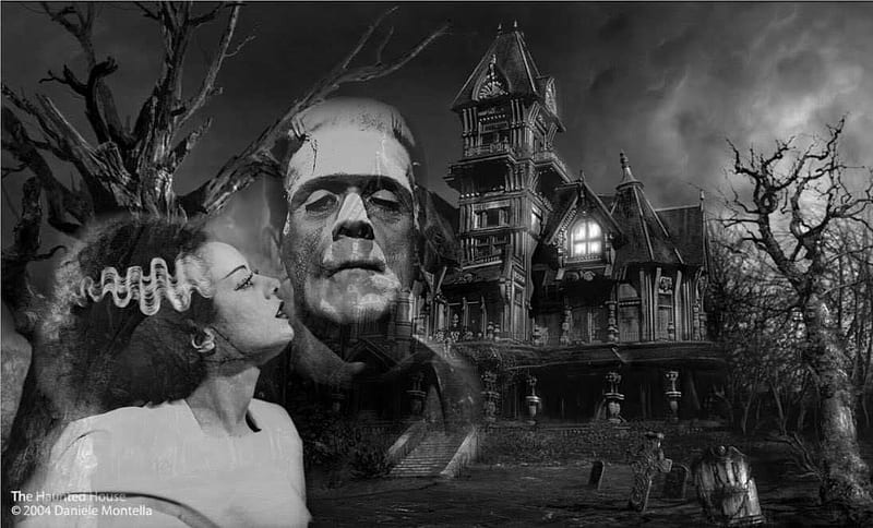 Frankenstein and his Bride, movie, entertainment fun, other, HD wallpaper
