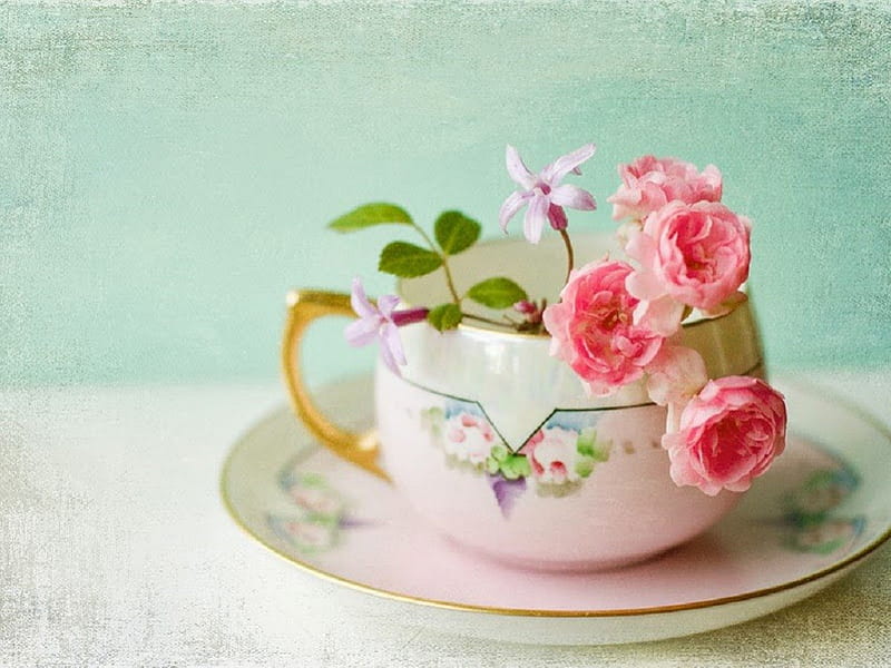 pink rose teacup, still life, flowers, pink roses, teacup, HD wallpaper