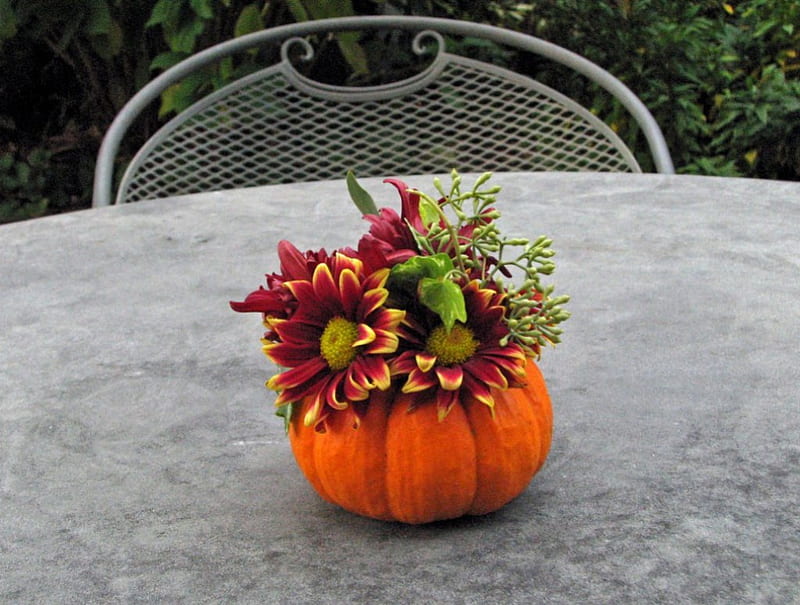Floral pumpkin, table, fall, autumn, centerpiece, lovely, bonito, mini, pumpkin, flowers, arrangement, garden, HD wallpaper