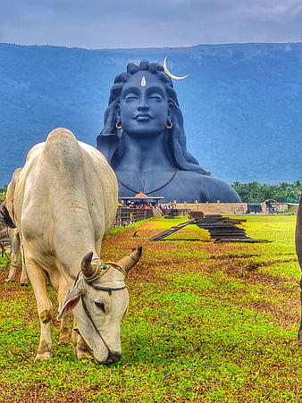 Lord shiva, isha, HD phone wallpaper | Peakpx