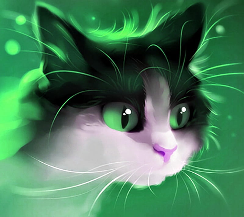 Cat, green, HD wallpaper | Peakpx