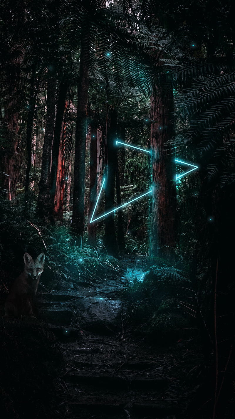 forest, fox, light, magic, triangle, HD phone wallpaper