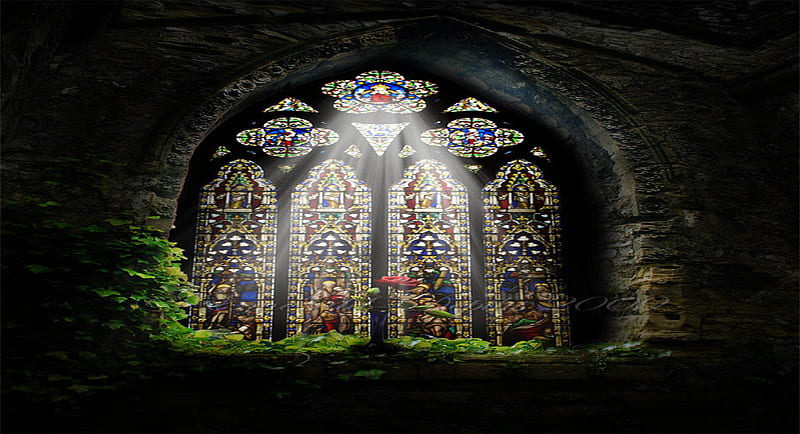 Grace, windows, flower, church, light, HD wallpaper