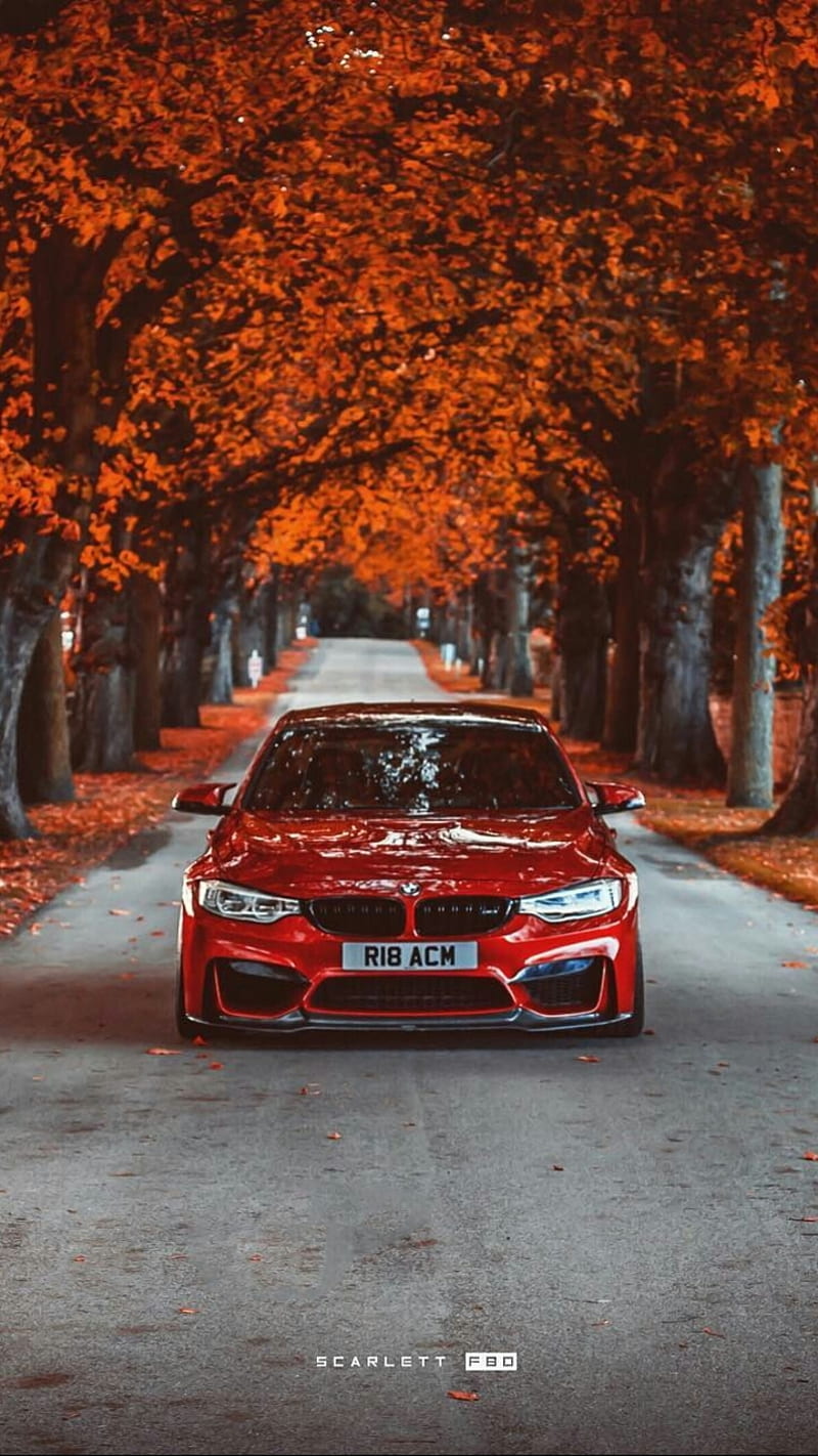 BMW M3, autumn, car, f80, front, red, road, season, trees, tuning, HD phone wallpaper