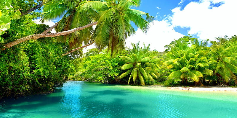 Mahe Island, Seychelles, holidays, turquoise water, bonito, clouds, palm trees, sea, beach, paradise, summer, island, HD wallpaper