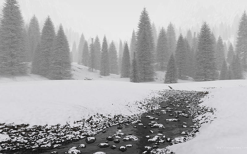 snow, forest, blasphemy, woods, digital, trees, HD wallpaper