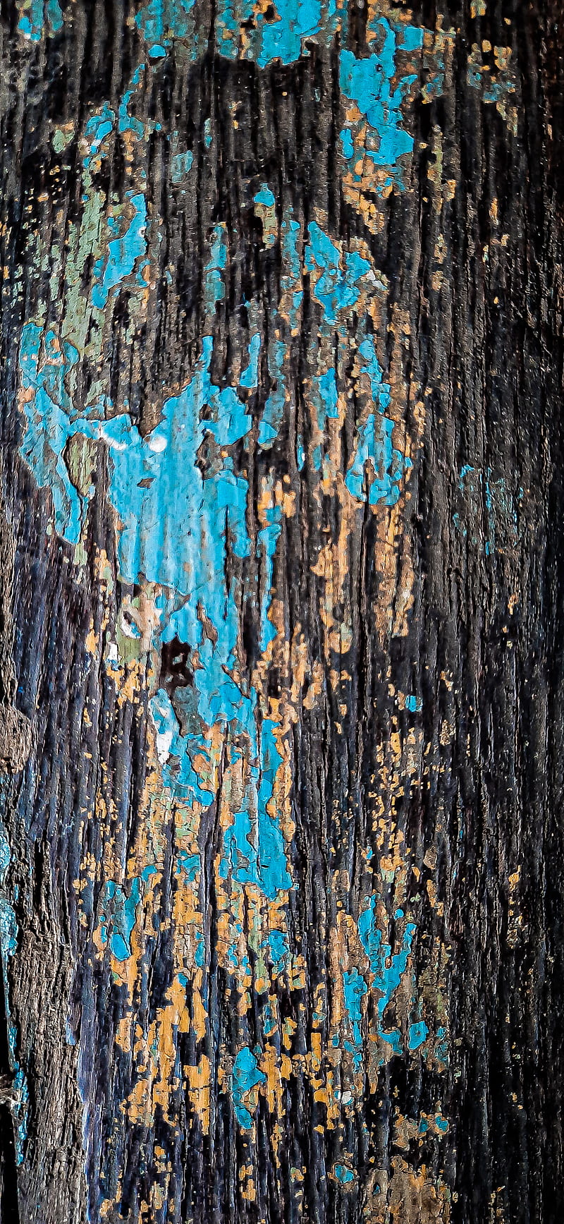 Wooden texture , abstracts, background, colours, grain, gris, nature, rustic, wood, HD phone wallpaper
