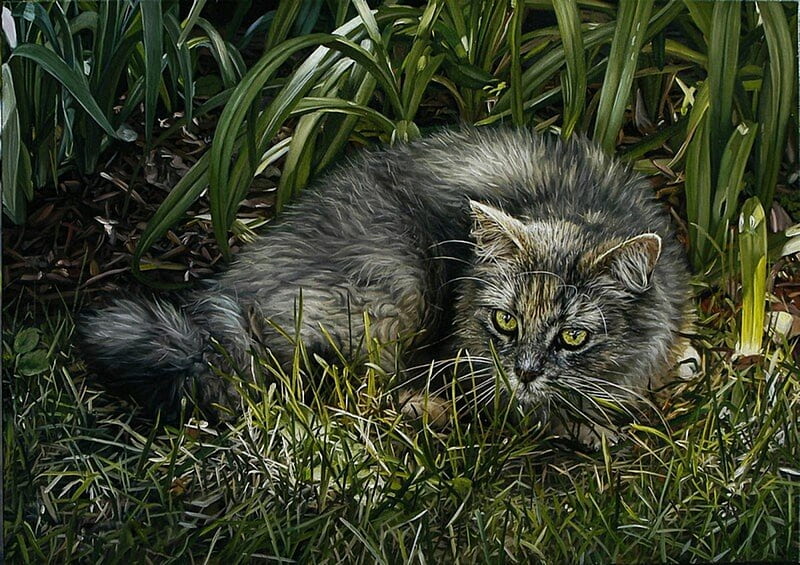 Lurking in the Grass, grow, grass, cat, animal, green, HD wallpaper