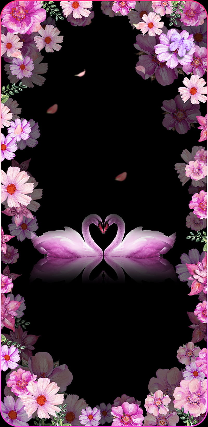 Swans Love, butterfly, floral, flower, flowers, lovely, pink ...