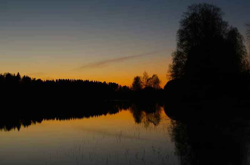 trees, silhouettes, lake, evening, dark, HD wallpaper