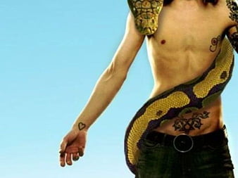 Snake Tattoo Meaning Every Culture Has a Unique Outlook and Perception   Saved Tattoo