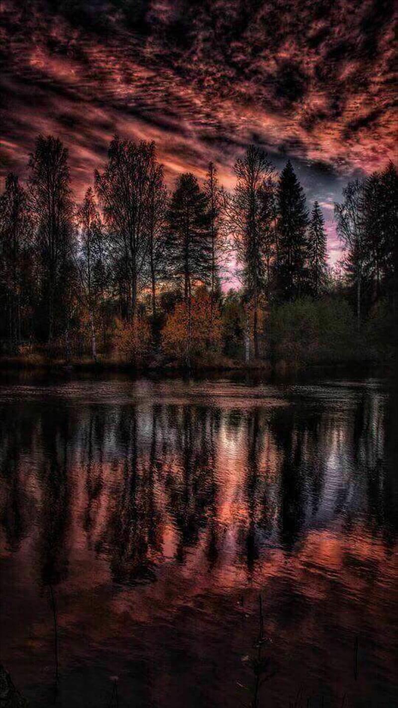 Nature, astonishing, awesome, bonito, cool, gorgeous, lake, mesmerizing,  trees, HD phone wallpaper | Peakpx