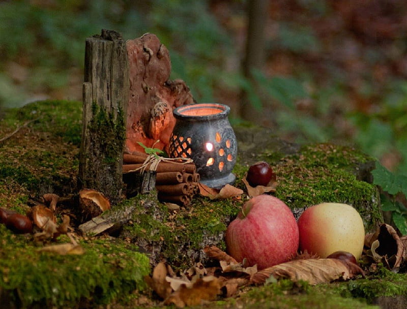Autumn feelings, candle, still life, leaves, grass, apples, tree stump, cherry, HD wallpaper