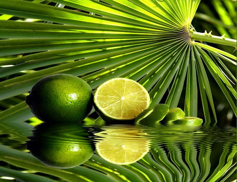 Lemons reflection, pretty, fruits, bonito, leaves, nice, green, lemons, reflection, tropics, exotic, lovely, fresh, greenery, freshness, citrus, mirrired, tropical, HD wallpaper