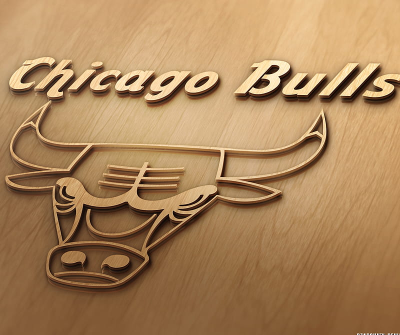 Chicago Bulls, basket ball, nba, HD wallpaper