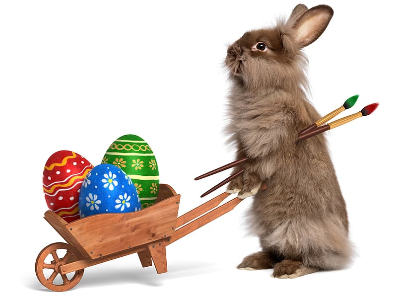 Easter, Holiday, Rabbit, Egg, Wheelbarrow, Bunny, HD wallpaper