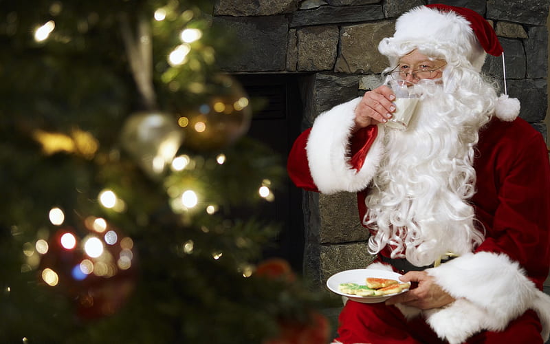 Santa's Snack, family, fun, entertainment, people, HD wallpaper