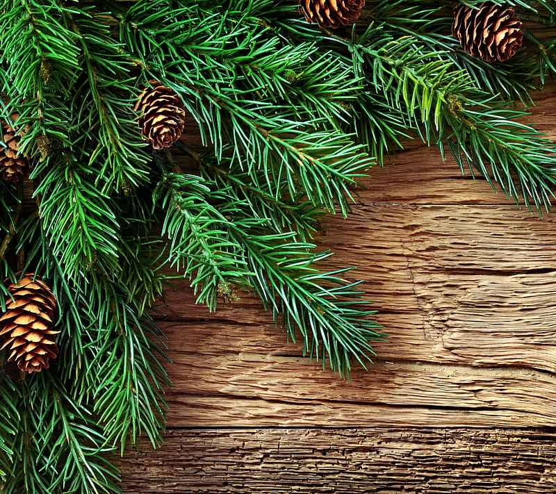 Christmas Decoration, fir, merry, tree, wood, HD wallpaper