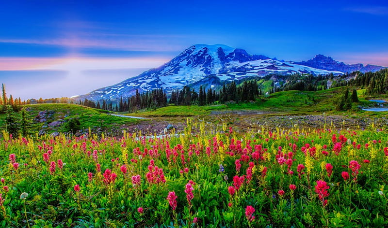 Mountain paradise, hills, pretty, amazing, lovely, bonito, sky, mountain, paradise, wildflowers, summer, nature, meadow, HD wallpaper