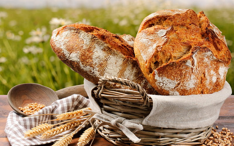 Breads, graphy, grass, basket, wheat, bread, abstract, picnic, HD wallpaper