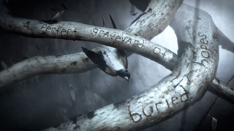 Anne Withe an E 2017 - 2019, white, black, intro, bird, swallow, anne with an e, quote, bw, randunica, tree, branch, anne of green gables, tv series, pasari, HD wallpaper