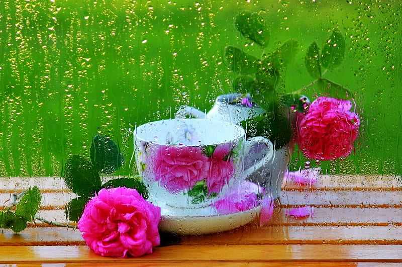 Rainy roses, pretty, lovely, window, time, bonito, drops, roses, tea, still life, leaves, nice, coffee, cup, flowers, rain, pinl, HD wallpaper