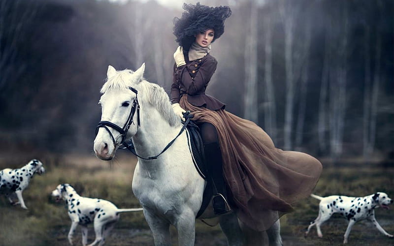 Elegant Lady on a Fox Hunt, Elegant, Model, Horse, Dogs, HD wallpaper