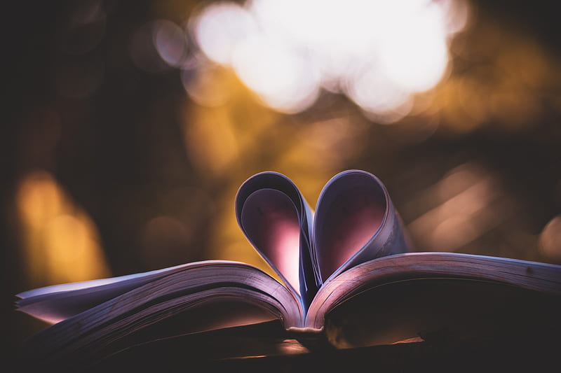 book, pages, heart, love, glare, HD wallpaper