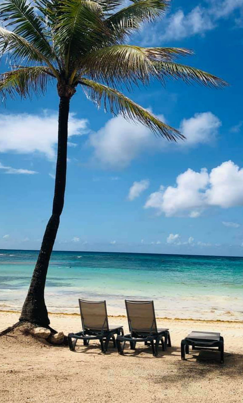 beach, caribe, mexico, ocean, palmeras, paz, peace, playa, HD phone wallpaper