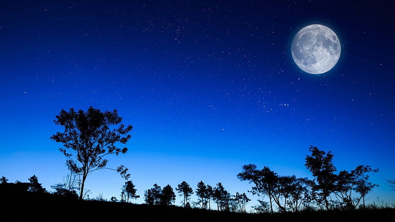 fantastic moon in an evening sky, stars, moon, evening, trees, sky, HD wallpaper