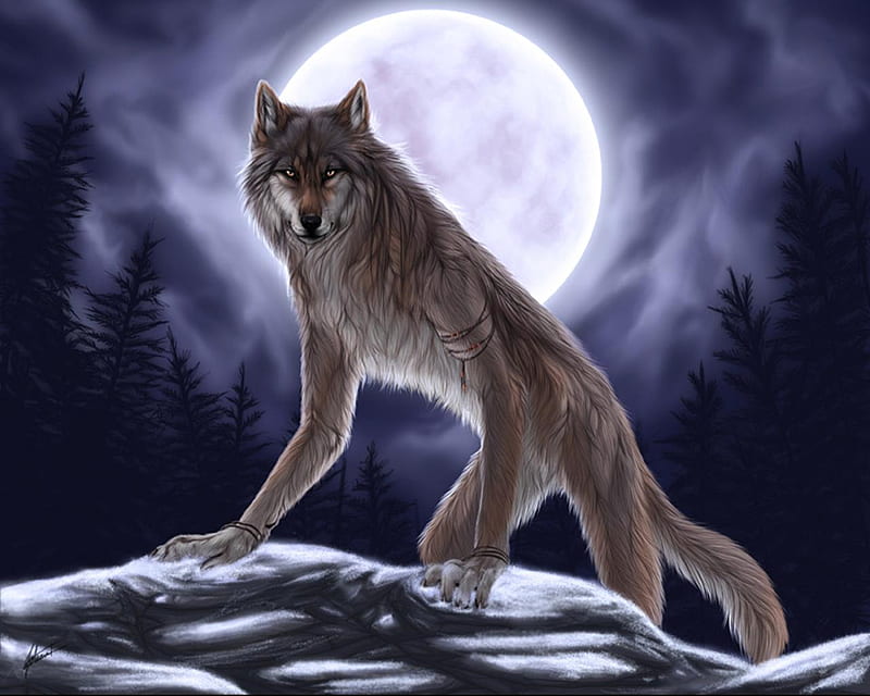 Chica hombre lobo dando un paseo a medianoche, chicas, luna, lobos, hombres  lobo, Fondo de pantalla HD | Peakpx